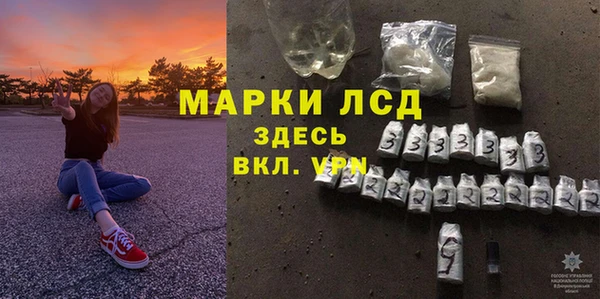 стаф Кострома