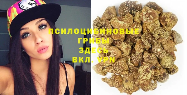 твердый Куйбышев