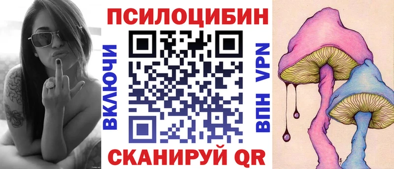 как найти закладки  мориарти официальный сайт  Псилоцибиновые грибы Psilocybe  Суровикино 